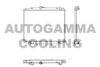 AUTOGAMMA 102933 Radiator, engine cooling